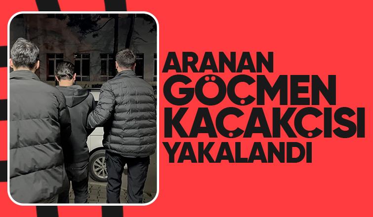 Şüphe üzerine durduruldu, göçmen kaçakçısı çıktı