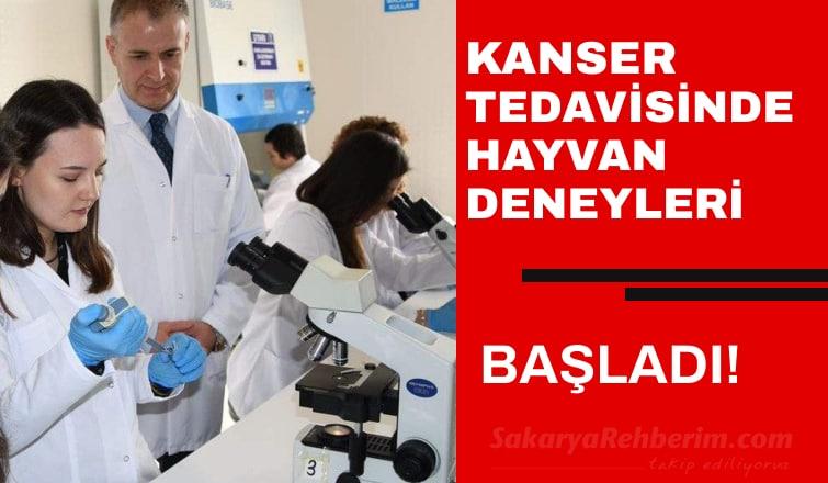 Kanser Aşısı Çalışmalarında Deney Hayvanlarına Geçiliyor