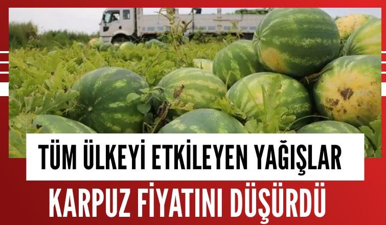 Ülkeyi etkileyen yağışlar karpuz fiyatlarını düşürdü