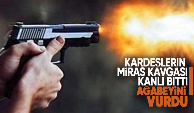 Miras kavgasında ağabeyini vurdu