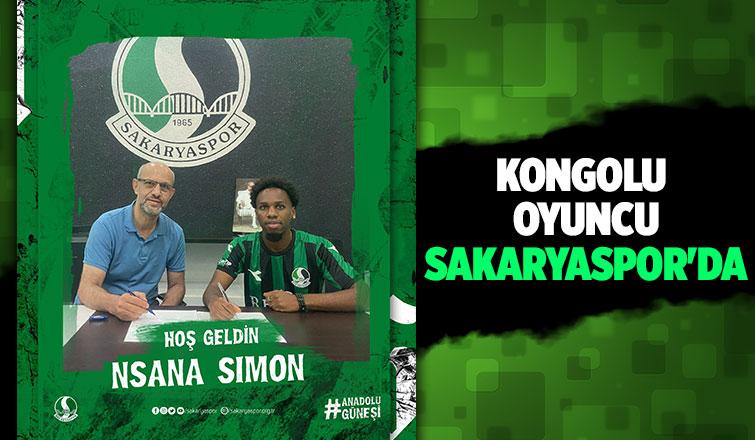 Sakaryaspor'a Slovenya'dan transfer