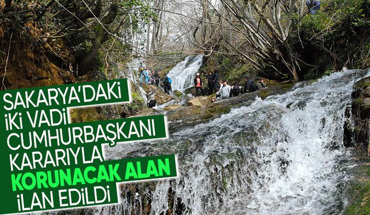 Geyve'de iki yer kesin korunacak hassas alan ilan edildi