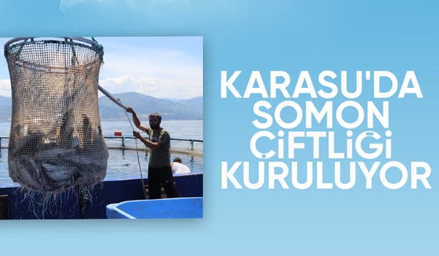 Karasu'da somon balığı üretim çiftliği kuruluyor