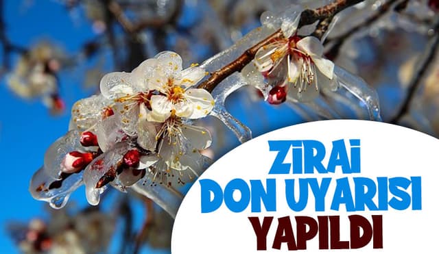 Meteorolojiden Zirai Don Uyarısı