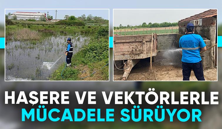 Sakarya'da haşere ve vektörlerle mücadele