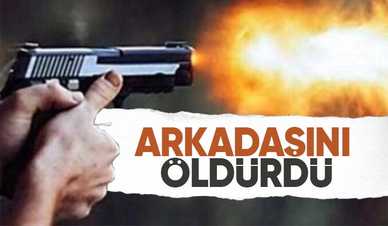 Arkadaş cinayeti