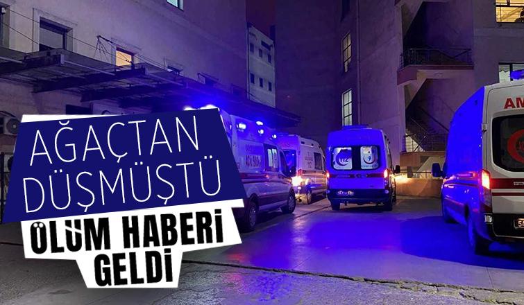 Ağaçtan düşen yaşlı adam hastanede hayatını kaybetti