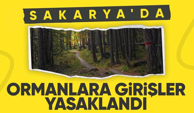 Sakarya'da ormanlara girişler 1 Kasım'a kadar yasaklandı