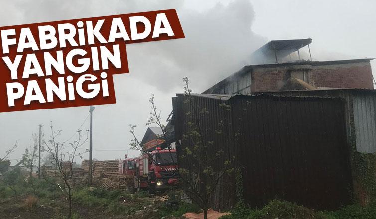 Orman Ürünleri fabrikasında yangın