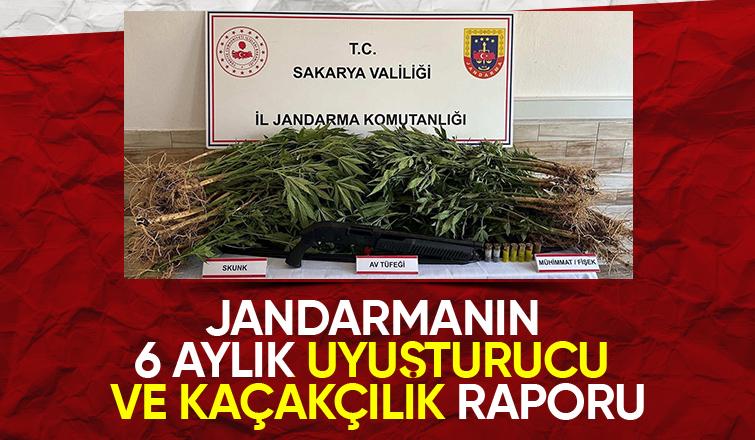 Jandarma 6 ayda 55,5 kilo uyuşturucu ele geçirdi