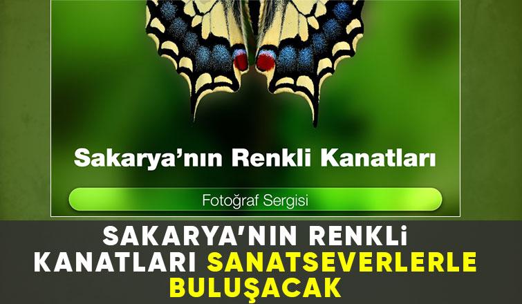 Sakarya’nın Renkli Kanatları fotoğraf sergisi