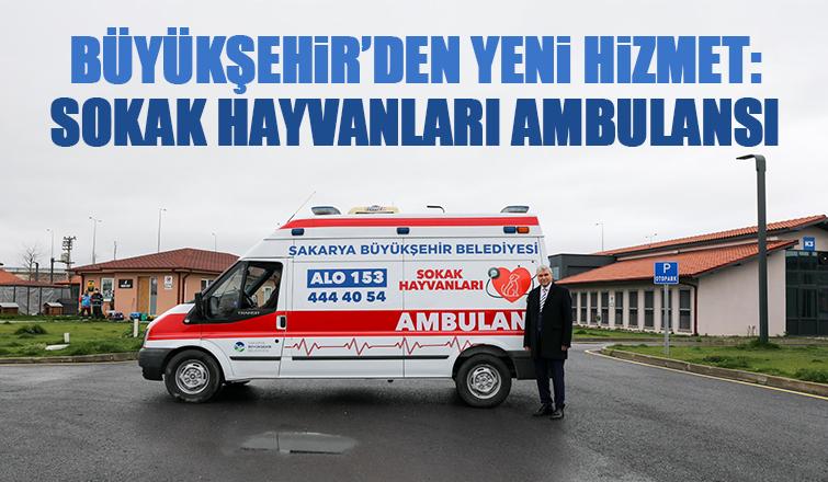 Sokak hayvanları için ambulans