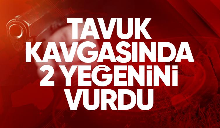 Tavuk kavgasında yeğenlerini silahla vurdu