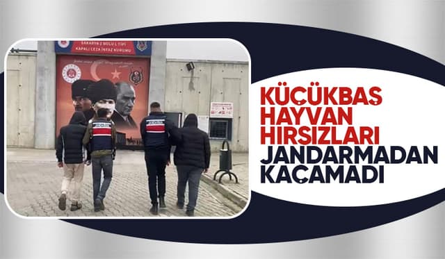 Akyazı'da 14 küçükbaş hayvan çalan 2 kişi yakalandı