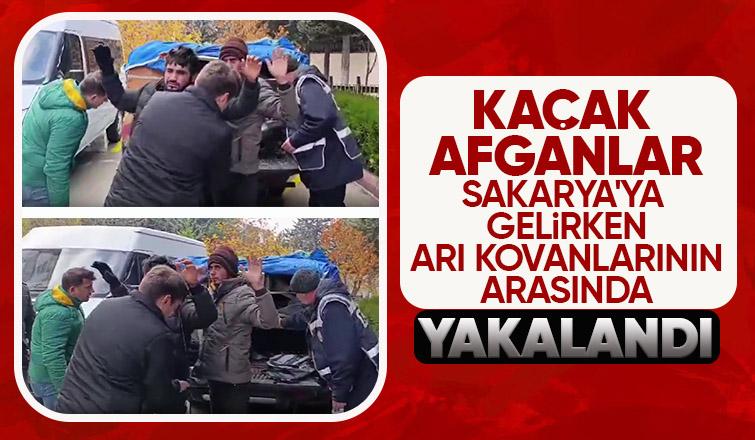 Kaçak Afganlar Sakarya'ya gelirken yakalandı