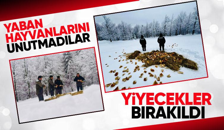 Yaban hayvanları için yiyecek bıraktılar