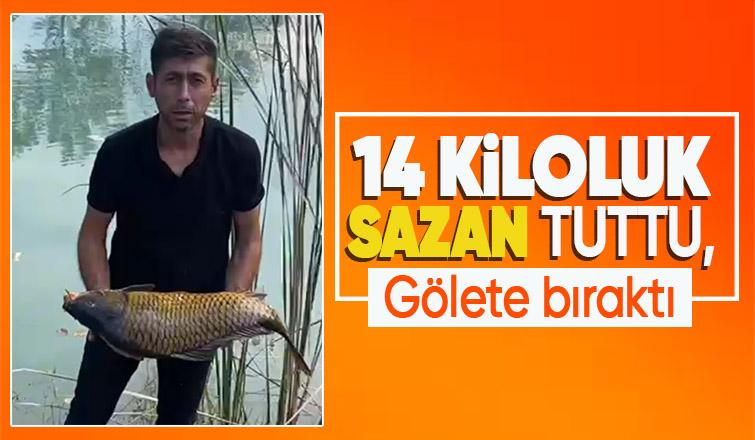 14 kiloluk sazan yakaladı