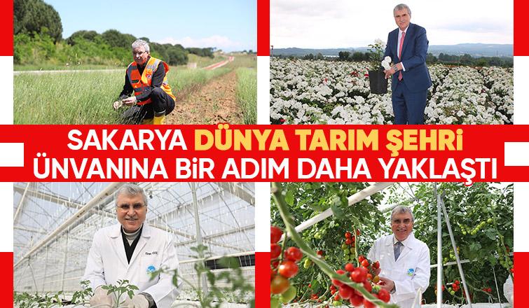 Toprağının bereketi Sakarya’yı dünya sahnesine taşıyor