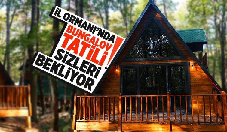 İl Ormanı’nda bungalov tatiline Büyükşehir güvencesi