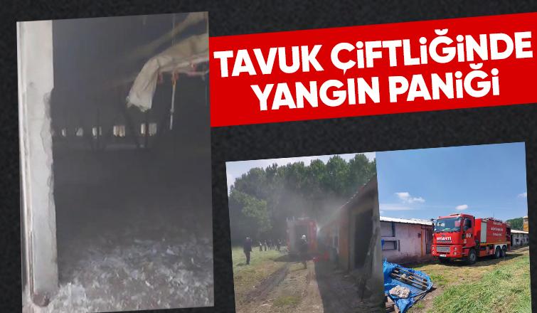 Tavuk çiftliğinde yangın