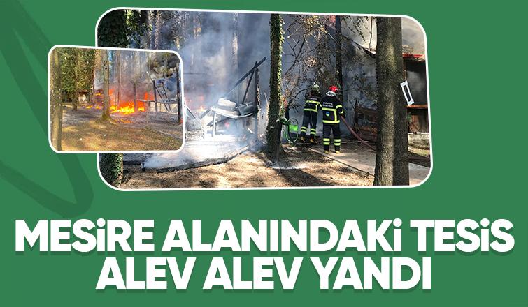 Akyazı'da ahşap tesis alev alev yandı