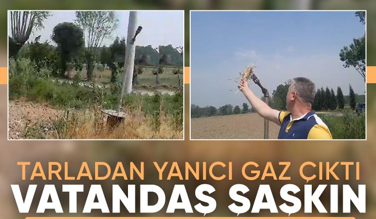 Eskibedil'de tarladan gaz çıktı