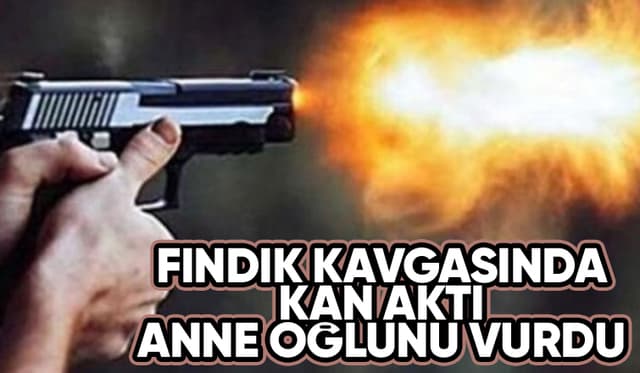 Fındık kavgasında anne oğlunu silahla vurdu