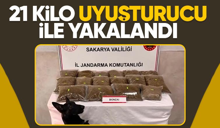 21 kilogram bonzai ele geçirildi