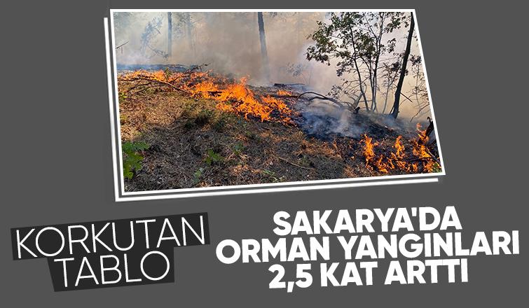 Sakarya'da orman yangınlarında korkutan artış