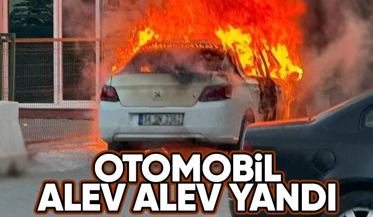 Otomobil alevlere teslim oldu