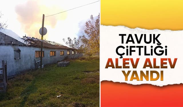 Tavuk çiftliğinde yangın