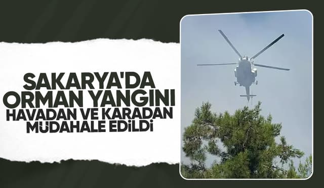 Sakarya'da orman yangını 3 saatte kontrol altına alındı