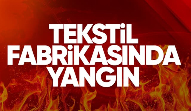 Söğütlü OSB'de yangın