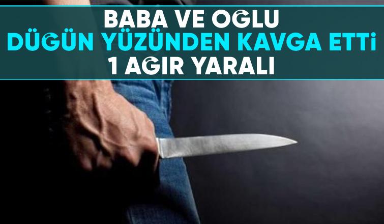 Söğütlü'de düğün nedeniyle baba ile oğlu arasında kavga çıktı.