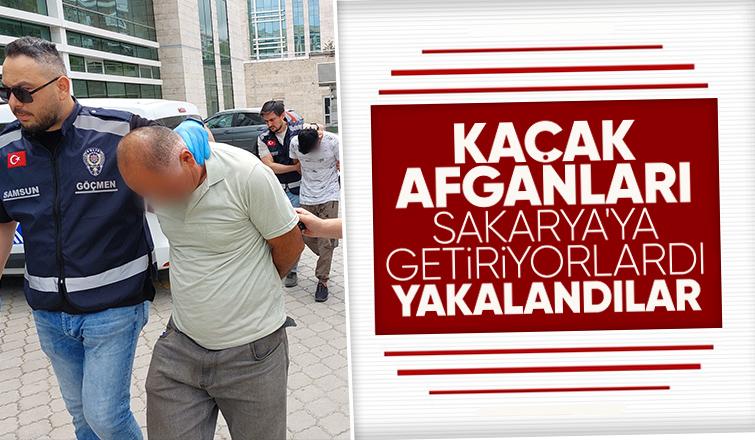 Sakarya'ya kaçak göçmen getiren 2 kişi yakalandı