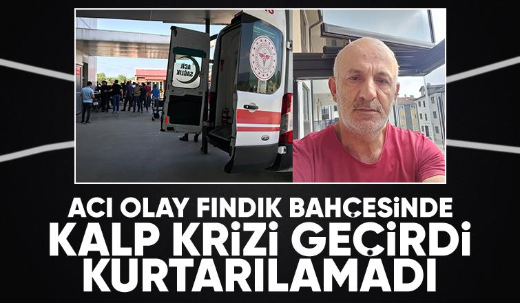 Fındıklıkta tırpan yaparken kalp krizi geçirip hayatını kaybetti