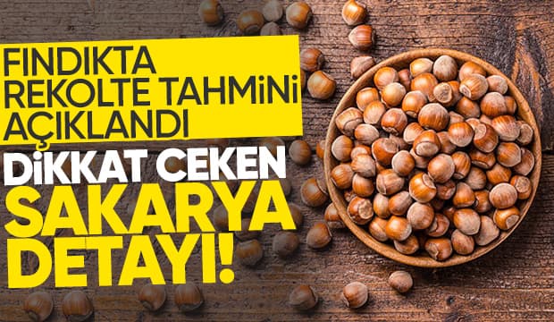 Sakarya'da tahmini fındık rekoltesi açıklandı