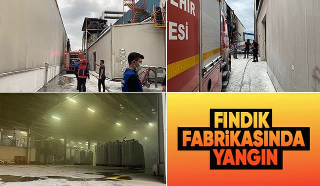 Fındık fabrikasında yangın paniği