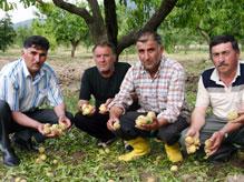 Dolu Yağışı Sebze ve Meyve Bahçelerini Vurdu