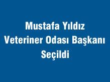 Mustafa Yıldız Yeniden Veteriner Odası Başkanı Seçildi