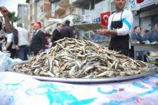 Karasu'da hamsi festivali