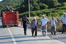 Kaynarca'da üç dönüm arazi kül oldu