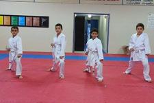 Hendek Belediyesi karate takımı sporcuları terfi etti