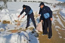 Kuşlar için açık alanlara yem bırakıldı