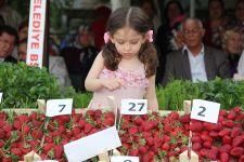 2014 yılında Sakarya'da ne kadar çilek üretildi?