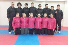 Karadeniz ve Hazar Ülkeleri Açık Karate Şampiyonası 