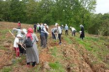 ÇEKUD ve Agah'dan ağaçlandırma faaliyetleri