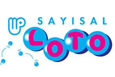 Sayısal loto talihlisi Adapazarı'ndan