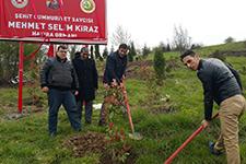 Hendekte şehit savcı Kiraz için hatıra ormanı