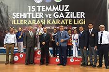 Geyve Karate takımlarından 14 kupa, 12 madalya